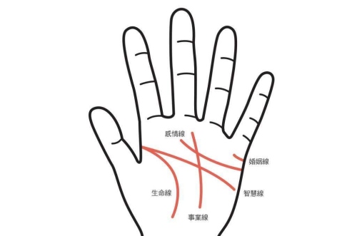 沒(méi)有感情線的手相是怎么回事