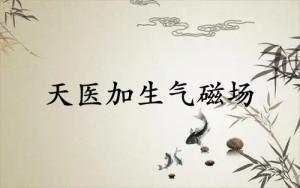 天醫(yī)加生氣磁場組合能量分析