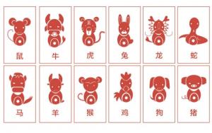 十二生肖出生月份決定命運(yùn)