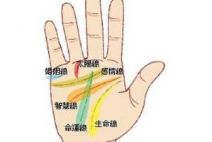 孤獨(dú)終老的手紋是啥樣的