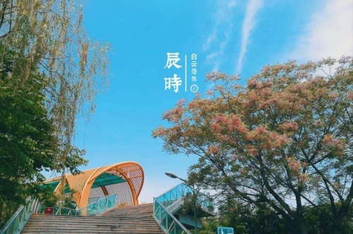 辰時最忌諱三個屬相