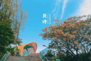 辰時最忌諱三個屬相