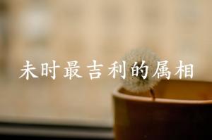 未時最吉利的三個屬相