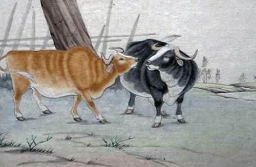 1997年屬牛的是什么命 1997年屬牛的是什么命