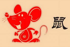 1996年屬鼠是什么命