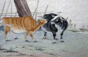 1997年屬牛的是什么命