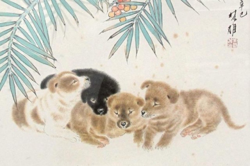 屬狗和屬狗的適合做夫妻嗎