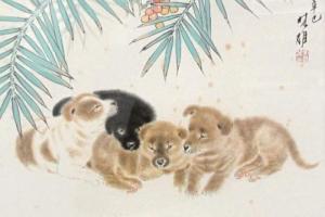 屬狗和屬狗的適合做夫妻嗎