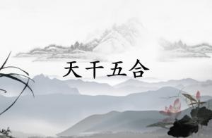 天干五合是什么意思