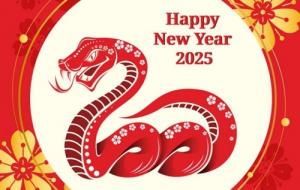 77年屬蛇2025年運(yùn)勢如何