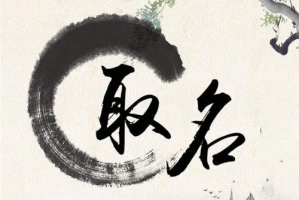 姓名32畫和25畫哪個(gè)更生僻