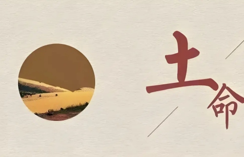 土命有哪幾種類型