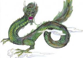 屬龍的五行屬性是什么