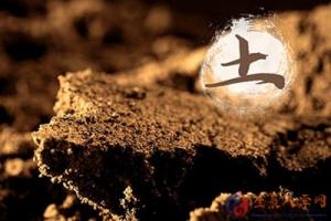 土命適合做什么行業(yè)最佳