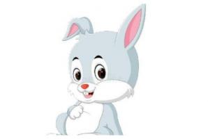 屬兔的是什么命