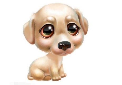 屬狗的是什么命五行屬什么