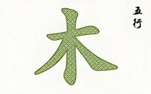 八字五行缺木怎么起名字