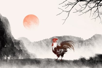 苦雞一般生在幾月