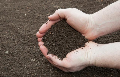 屬土最厲害的三個行業(yè)