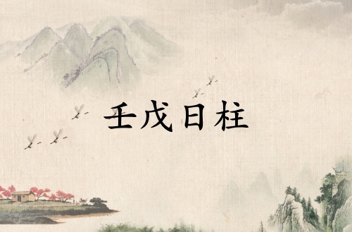 壬戊日柱是上等日柱嗎