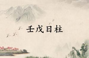 壬戊日柱是上等日柱嗎