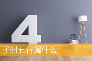 子時(shí)五行屬什么