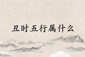 丑時(shí)五行屬什么