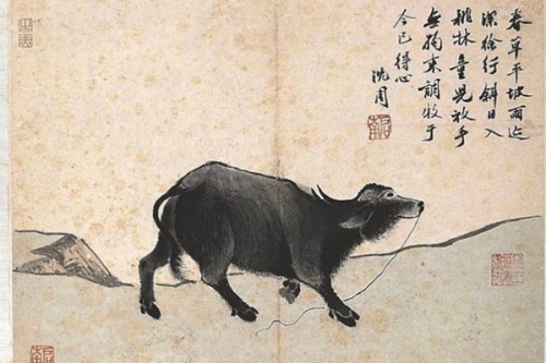 丑時(shí)屬什么生肖