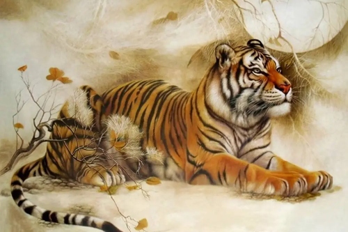 屬虎人跟誰一起最有錢