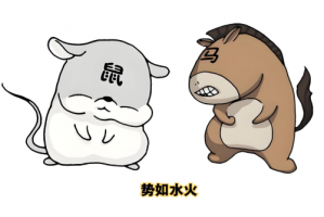 屬鼠和屬馬的合不合