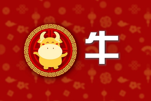 屬牛相克相沖的屬相有哪些