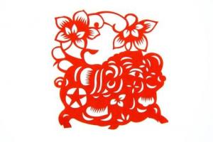 屬豬的出生年份表