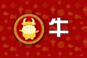 屬牛相克相沖的屬相有哪些