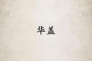 華蓋星在哪柱力量大