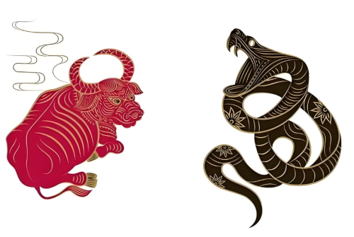 屬牛和屬蛇的合不合