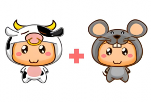 屬牛和屬鼠的合不合
