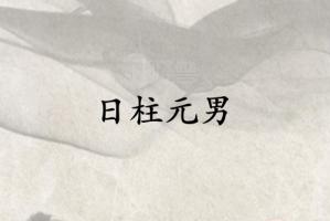 日柱元男是什么意思