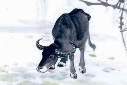 屬牛和屬馬的合不合