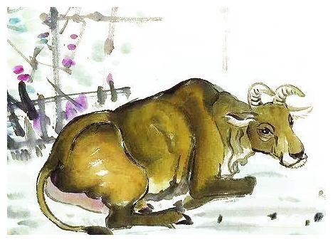 屬牛和屬猴的合不合