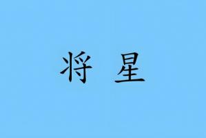 八字日柱將星是什么意思