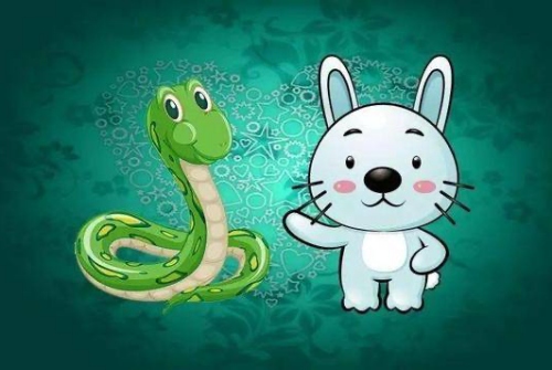 屬兔和屬蛇的合不合
