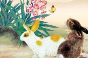 屬兔和屬牛的合不合