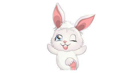 屬兔和屬羊的合不合