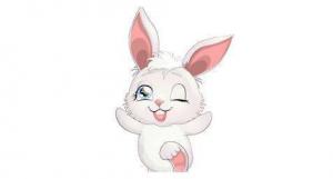 屬兔和屬羊的合不合