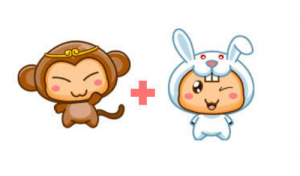 屬兔和屬猴的合不合