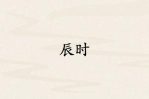 辰時是哪個臟器的時間