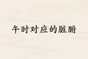 午時和哪個臟腑對應(yīng)