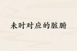 未時對應(yīng)哪個臟腑
