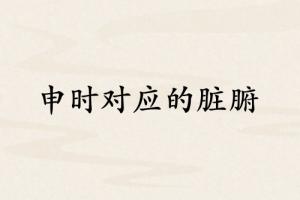 申時對應(yīng)哪個臟腑