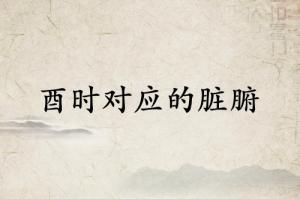 酉時對應(yīng)什么臟腑